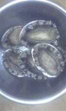 市内の海にて
