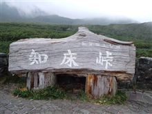 今日はこんな所に…