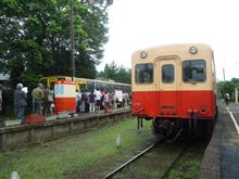 千葉県内ローカル線巡りの旅　その３　通勤ラッシュ並みの混み具合