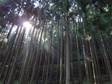 またまた天川村でキャンプをしてきました(~_~)