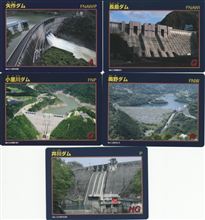 夏の自由研究 結果