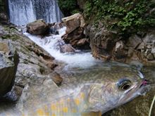 9月最初の釣り