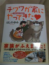 最近の嵌りもの…