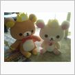 新しいクマがやってきました。