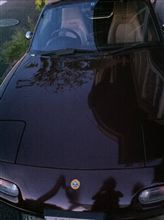 車検記念日～