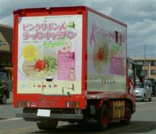 ホームセンターの駐車場に。