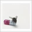 I&#39;m With You／Red Hot Chili Peppers