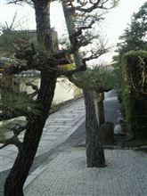司馬遼太郎　関裕二　～読者目線の文章が好印象～