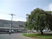 定点観測9/10(土)