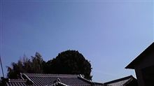 カンカン照り・・・