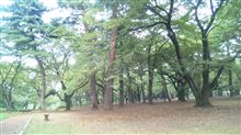 木陰