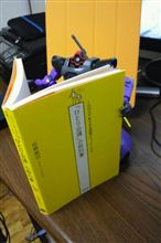 たった独りのドム たった独りのドム