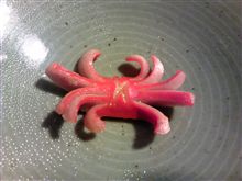 カニウインナー。