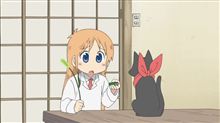 サメのはなし サメのはなし