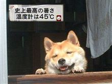 最近こんな感じ