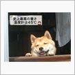 最近こんな感じ