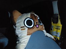 かーわーいーいー(・∀・)