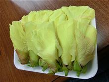 ぱっくんフラワー