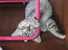 敬老の日