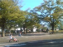 運転のマナーについて。