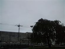 定点観測9/21(水)