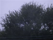 台風一過
