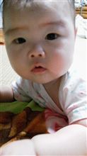 くるりんこ