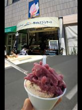 作りたてジェラート リビスコ