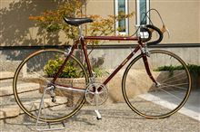 久しぶりのロードレーサー