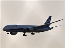 ＡＮＡのニューフェース　Ｂ７８７初号機見参！
