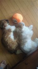 思わず…(笑)
