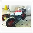 YSR80