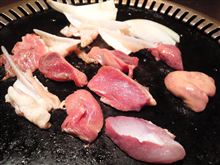 さて、今日はどうしましょ？