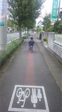 毎朝の散歩