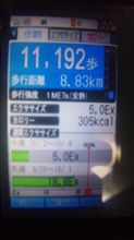 今日はよく歩いた