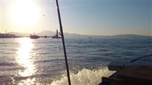 別府湾クルージング