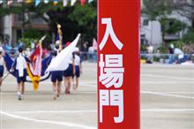 まだ眠い、もう眠い(=_=;)