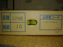 秋です。