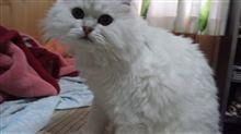イライラしてます。