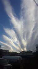 秋の雲って綺麗だね