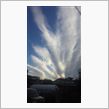 秋の雲って綺麗だね