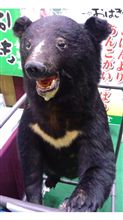 もぅ10月ですね…