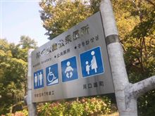 高速道路が無法地帯に変わる瞬間