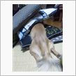 突っ込め～！！