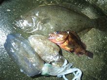 北東の風6m/s波の高さ1m小潮/SP