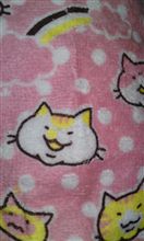 つみネコo(^-^)o つみネコo(^-^)o