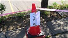 第6回欧州ホットハッチ団全国OFF@伊那 第6回欧州ホットハッチ団全国OFF@伊那
