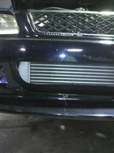 インタークーラーに虫