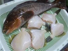 東北東の風6m/s波の高さ0.5m小潮/B