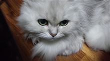 クラプトンはスゴイなぁ～！